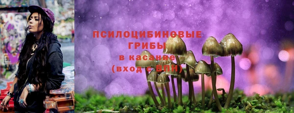 кокс Бикин