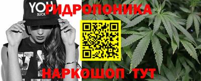 дмт Гай