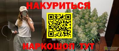 дмт Гай