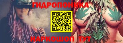 дмт Гай