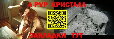 дмт Гай