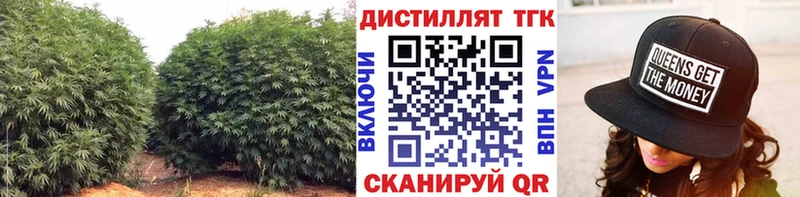 продажа наркотиков  Избербаш  ТГК гашишное масло 
