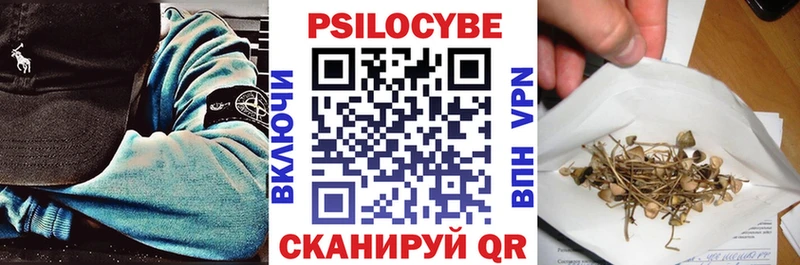 купить наркоту  Избербаш  Галлюциногенные грибы Psilocybe 