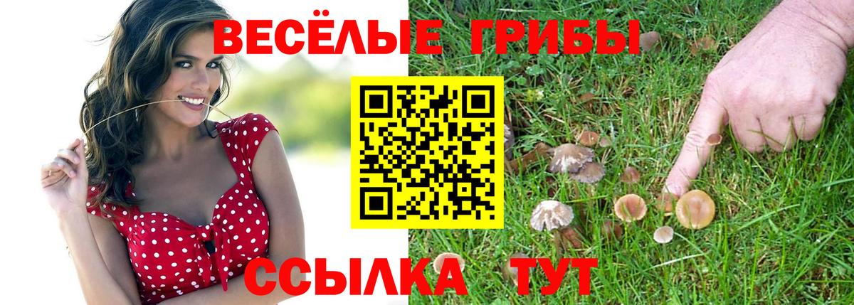 Псилоцибиновые грибы Psilocybine cubensis Избербаш