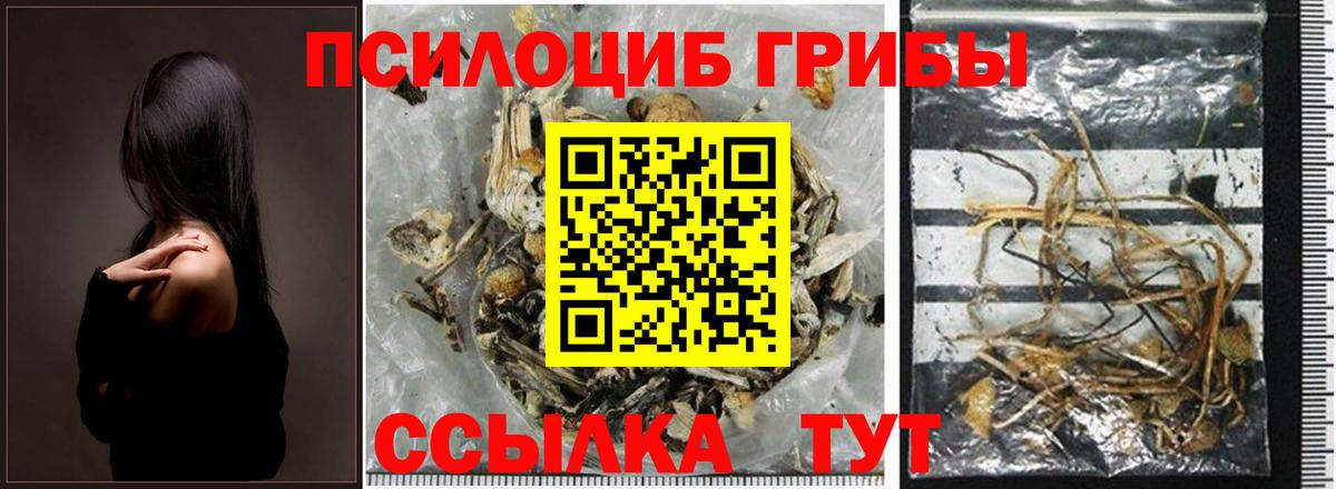 Галлюциногенные грибы мухоморы  Вход с VPN  дарнет шоп  Избербаш 